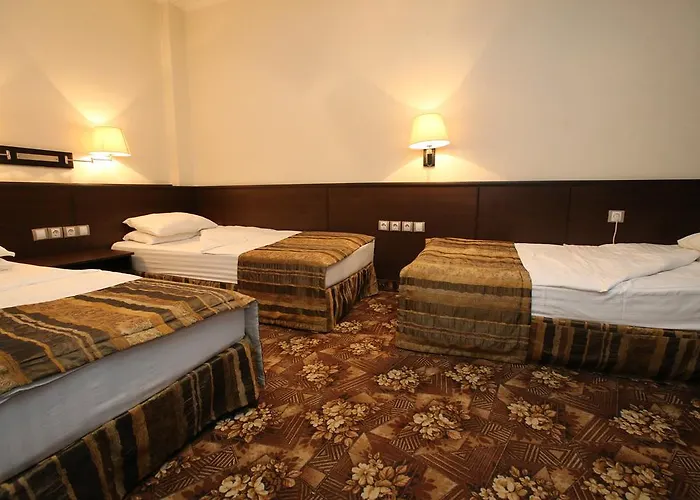 فندق ومطعم ذا هاوس صوفيا